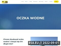 Miniaturka domeny www.oczka-wodne.pl