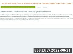 Miniaturka domeny www.odszkodowania24.eu