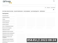 Miniaturka domeny www.onyks.eu