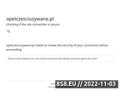 Miniaturka domeny www.opelczesciuzywane.pl
