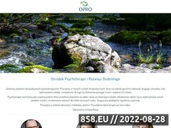 Miniaturka domeny opro.com.pl