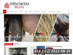 Miniaturka domeny www.ornowski.pl