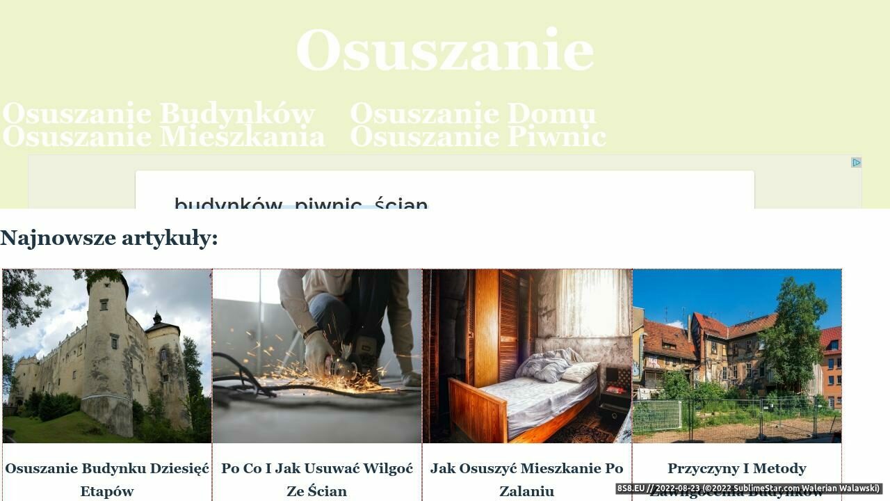 Hydroizolacja i osuszanie murów (strona www.osuszaniemuru.pl - Mokre mury)