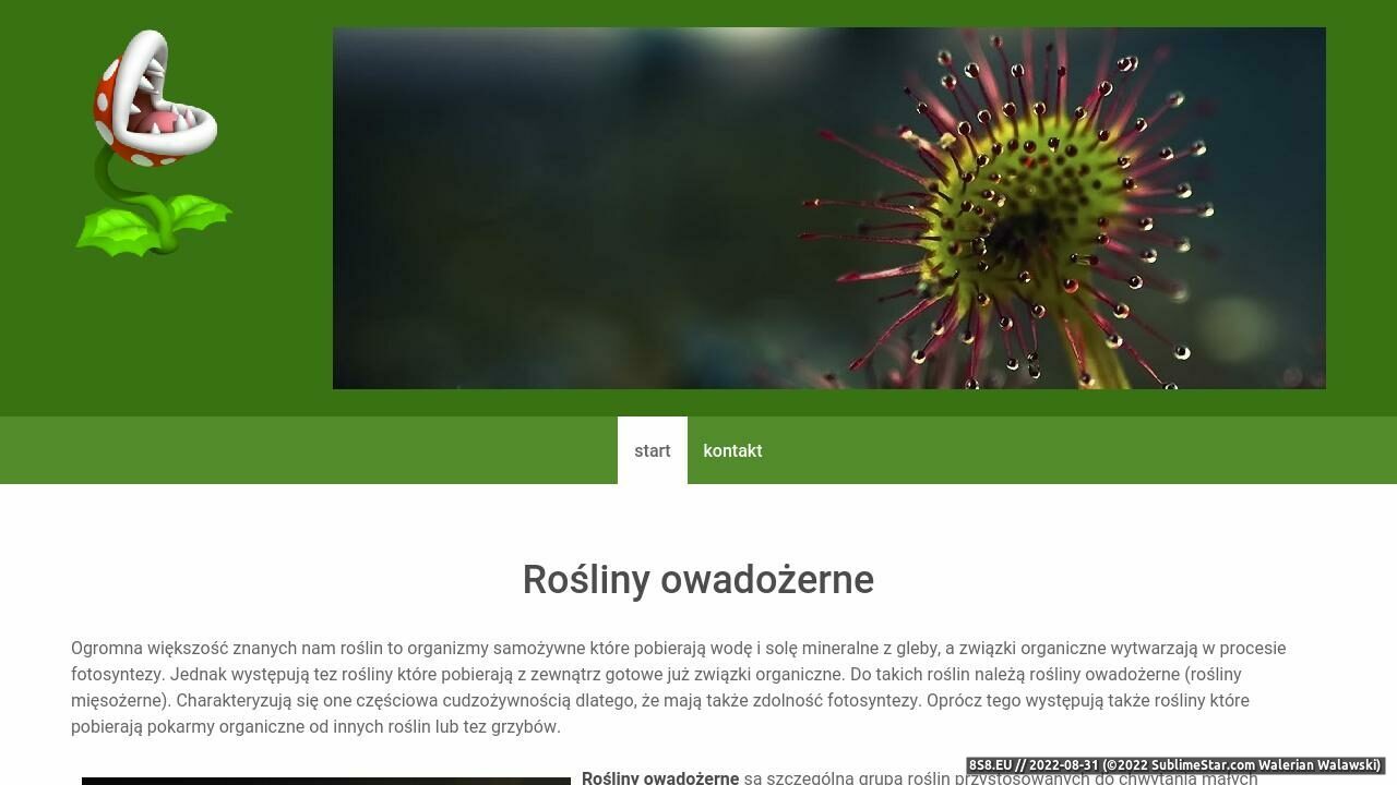 Zrzut ekranu Rośliny owadożerne