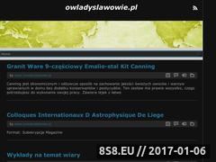 Miniaturka domeny www.owladyslawowie.pl