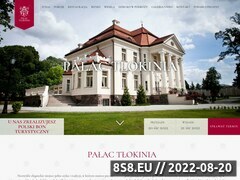 Miniaturka domeny www.palac-tlokinia.pl