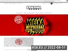Miniaturka www.palmasport.pl (Odzież sportowa i sprzęt sportowy - najlepsze ceny)