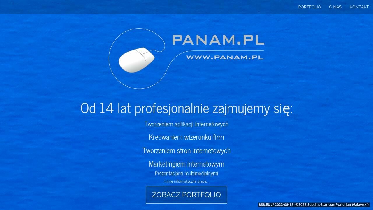 Tworzenie stron www (strona www.panam.pl - Panam.pl)
