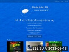 Miniaturka domeny www.panam.pl
