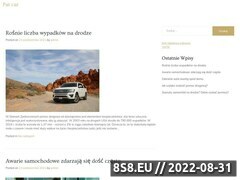 Miniaturka pat-car.pl (Pomoc drogowa i holowanie aut w Płocku)