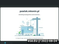 Miniaturka domeny pawlak.mkonin.pl