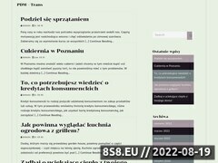 Miniaturka domeny pdm-trans.pl