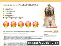 Miniaturka domeny petlandia.com.pl