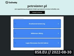 Miniaturka domeny www.petrointer.pl