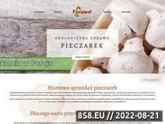 Miniaturka strony FUNGIPOL - uprawa, eksport grzybów jadalnych, uprawa pieczarek