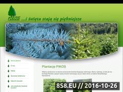Zrzut strony Pikos - plantacje choinek