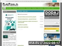 Miniaturka domeny www.placpigal.pl