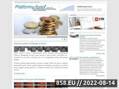 Miniaturka strony Blog Platforma Forex