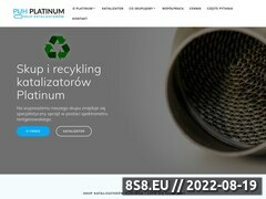 Miniaturka platinum-katalizatory.pl (<strong>skup</strong> katalizatorów Platinum)