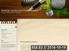 Miniaturka domeny podkarpackie.enui.pl