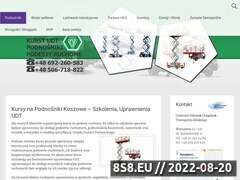 Miniaturka domeny podnosniki.edu.pl
