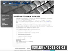 Miniaturka domeny www.pokal.com.pl