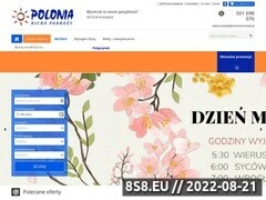 Miniaturka domeny polonia-travel.pl