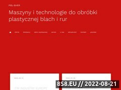 Miniaturka domeny www.polsver.pl