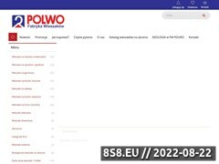 Miniaturka domeny polwo.com.pl
