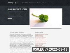 Miniaturka praca.nsacz.eu (Praca Nowy Sącz)
