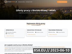 Miniaturka pracabielsko.pl (Oferty pracy z Bielska-Białej i okolic)