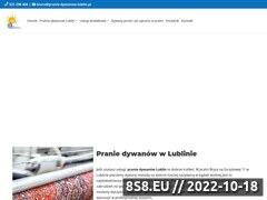 Miniaturka domeny www.pranie-dywanow-lublin.pl