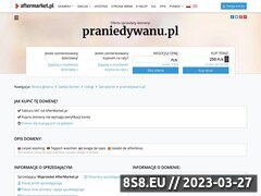 Miniaturka domeny praniedywanu.pl