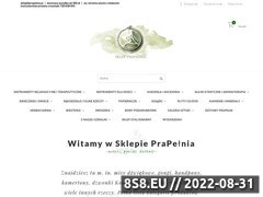 Miniaturka domeny prapelnia.pl
