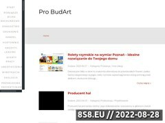 Miniaturka domeny www.pro-budart.pl