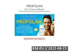 Miniaturka domeny www.procerin.pl