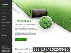 Zrzut strony Krzysztof Perz - producent trawy