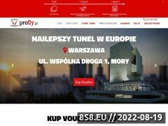 Miniaturka domeny profly.pl
