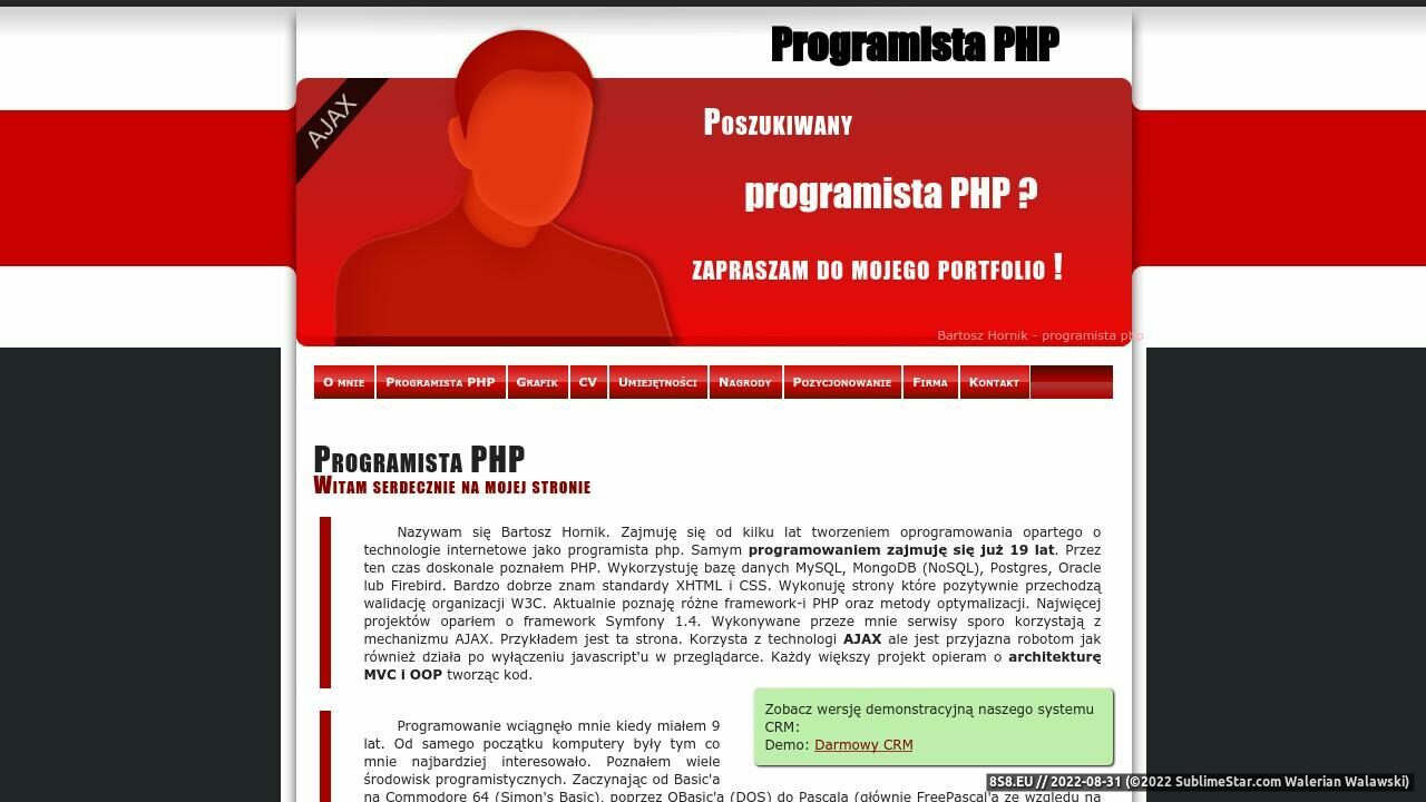 Zrzut ekranu Programista PHP - Bartosz Hornik - Portfolio
