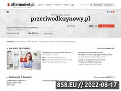Miniaturka przeciwodlezynowy.pl (Materace i poduszki przeciwodleżynowe)