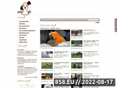 Miniaturka strony Psia.tv - Piersza w Polsce internetowa telewizja o psach