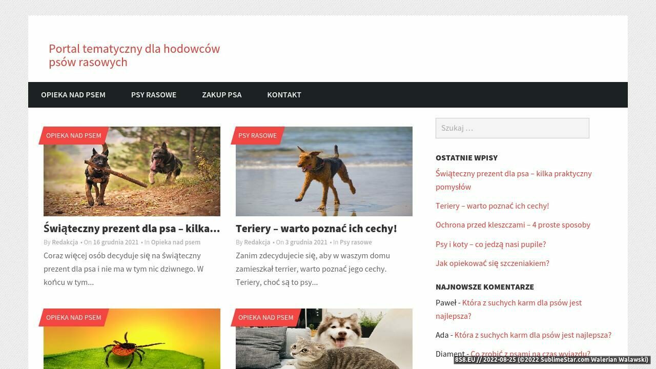 Psy rasowe na sprzedaż (strona www.psiaki.net.pl - Psiaki.net.pl)