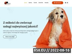 Miniaturka domeny psiapielegnacja.pl