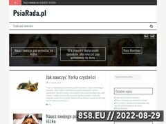 Miniaturka psiarada.pl (Blog o psach, darmowe szkolenie psa - PsiaRada.pl)