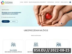 Miniaturka domeny www.psusigma.pl