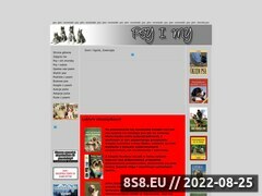 Miniaturka strony Psy i my