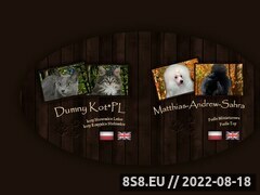 Zrzut strony Dumny Kot*PL, hodowla kotów Norweskich Leśnych i Rosyjskich Niebieskich