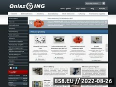 Miniaturka domeny qnisz.pl