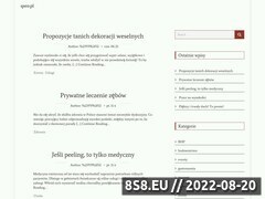 Miniaturka strony Qseo.pl - spis stron