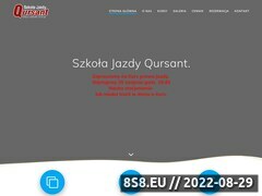 Miniaturka domeny www.qursant.com.pl